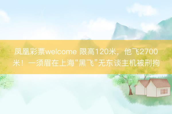凤凰彩票welcome 限高120米,他飞2700米!一须眉在上海“黑飞”无东谈主机被刑拘